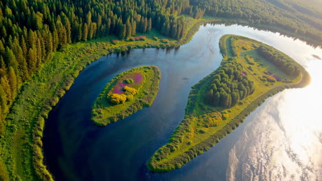 aerial view of a meandering river and lush forest