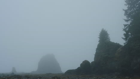 heavy fog hanging over dramatic coast of olympic peninsula washington usa