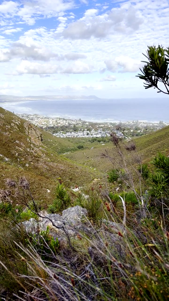 Vista sulla valle di montagna a Fernkloof verso la costa di Voëlklip Hermanus. Verticale