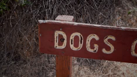 panning of old red "dogs graveyard" sign