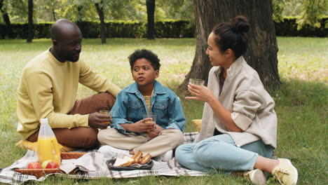 familia afroamericana alegre haciendo picnic en el parque