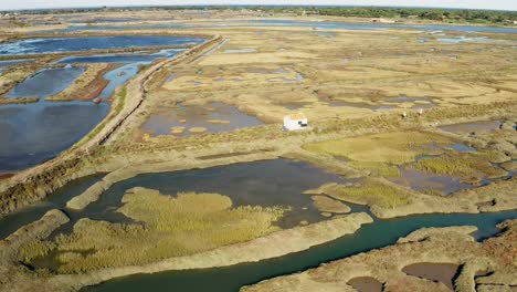 mudflat of the natural reserve of lilleau des niges on the ile de ré island, aerial view