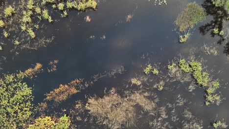 Birds-Eye-view-of-Powell-Creek-Preserve