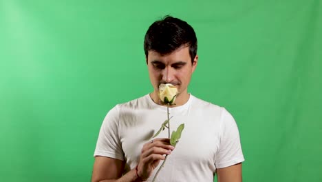 handsome young adult giving rose flower isolated on green screen