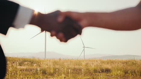 Business Deal in a Wind Farm
