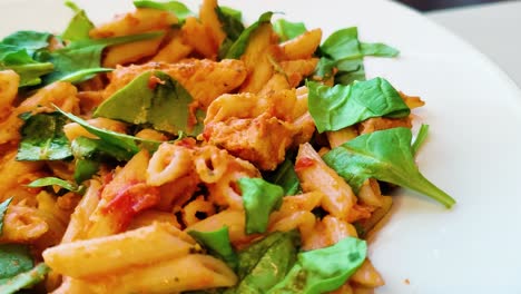 vegetarian pasta serving with spinach and tomato sauce