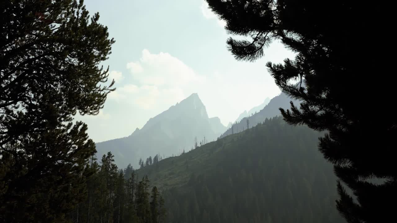 Beautiful landscape nature tilting down shot of Leigh Lake and the Majestic Grant Teton National Park mountain range with pine trees surrounding the water on a warm sunny summer day in Wyoming, USA.