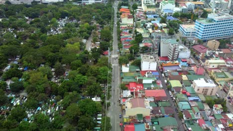 tackling climate change with trees in a city of philippines