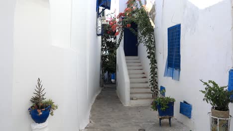 Whitewashed-alley-with-stairs-and-blue-accents-in-Sidi-Bou-Said,-Tunisia,-bright-daylight