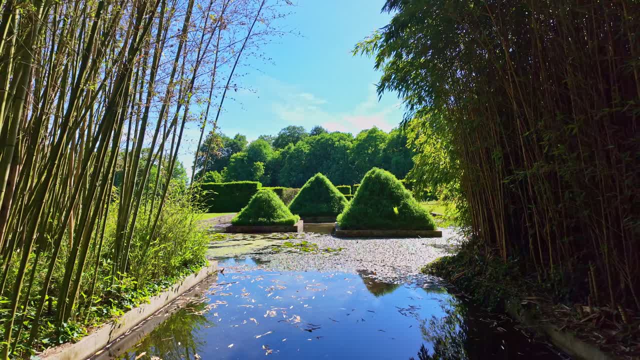Reflective pond with topiary pyramids framed by bamboo at Upper Brittany Botanical Park, Le Chatellier, France.