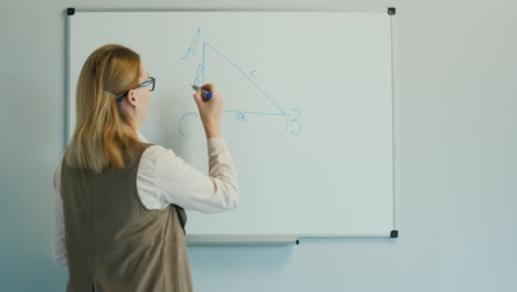 the teacher leads a geometry lesson for younger children