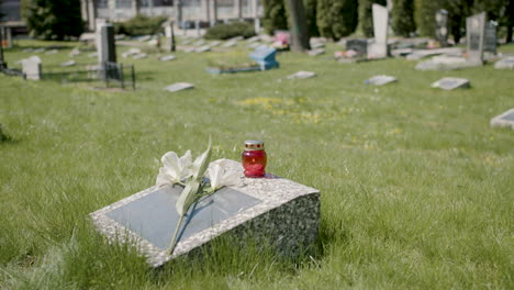 tombstone with a white flower and a grave candle in a graveyard on a sunny day 2