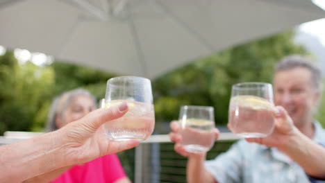 senior friends toast in an outdoor setting, with copy space