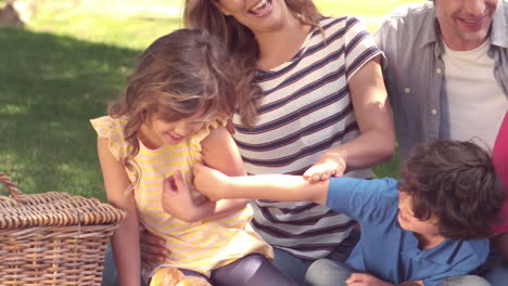 Glückliche-Familie-Bei-Einem-Picknick-Im-Park-