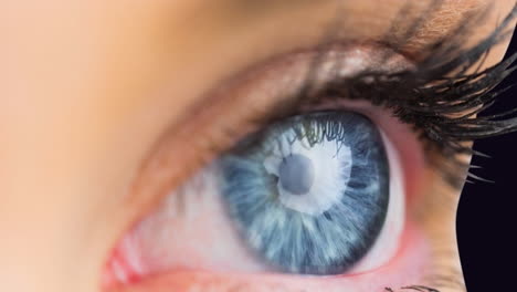 close up of female blue eye against black background