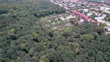 Drohne-Fliegt-über-Bewaldete-Nachbarschaft