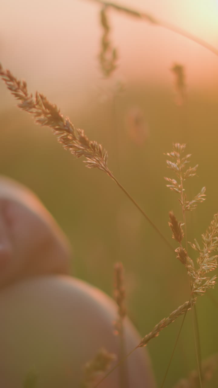 Serene sunset scene featuring tall grasses with two children's hands gently touching the blades, evoking a peaceful, close-to-nature moment