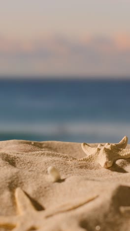 Vertikales-Video-Sommerferienkonzept-Mit-Muscheln-Seesterne-Am-Sandstrand-Gegen-Meer-Und-Abendhimmel