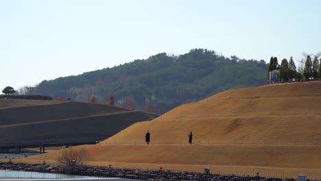 suncheonman bay national garden - unrecognizable korean couple walking in lake garden taking a picture at bonghwa hill in autumn landscape