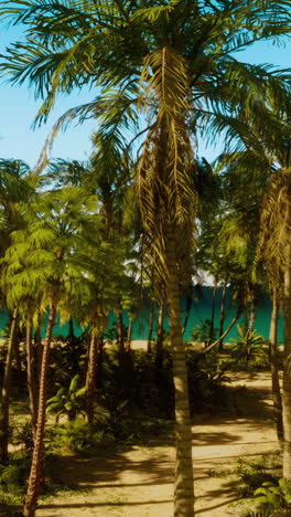 Tropical Beach with Palm Trees