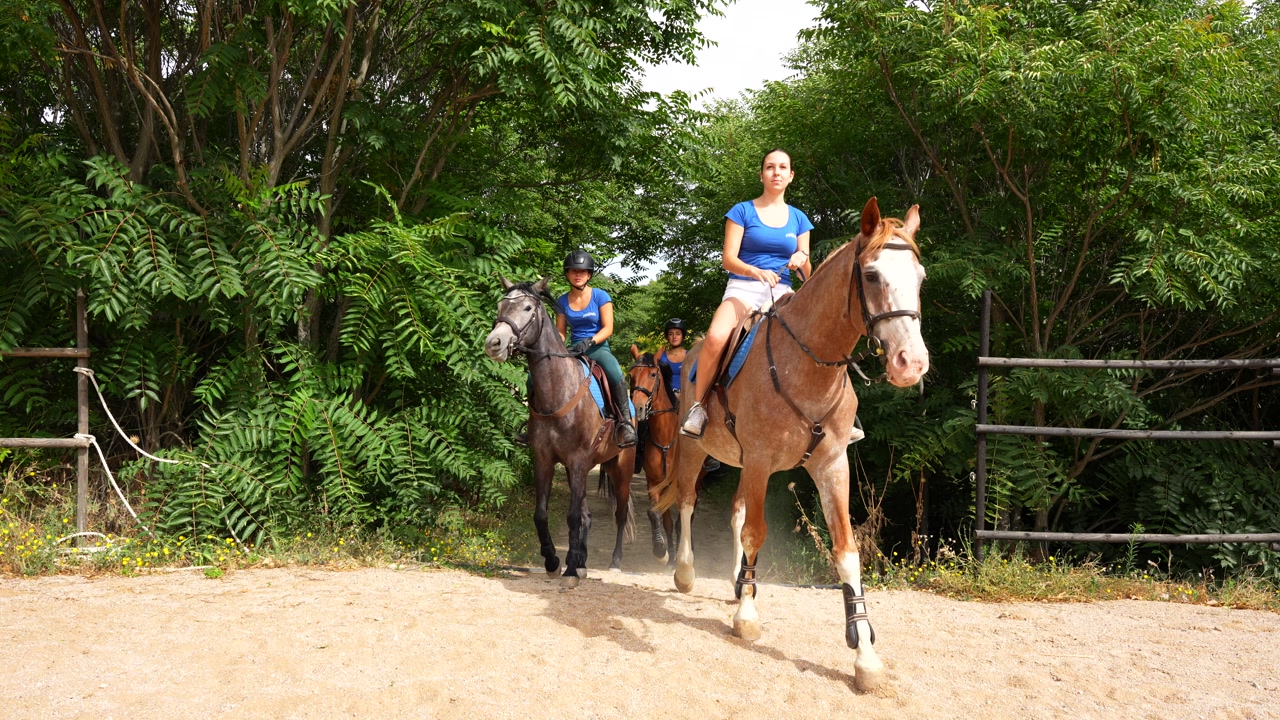 Three riders on horses entering sandy arena at equestrian center for show jumping