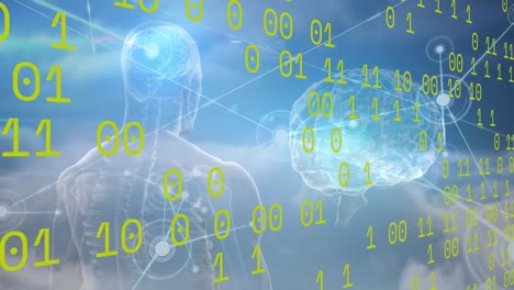 animación de código binario, cerebro, conexiones y modelo humano en fondo azul