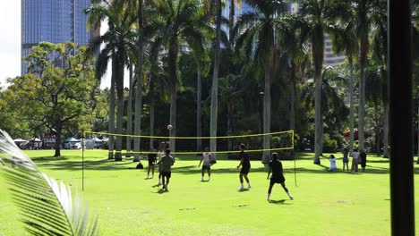 people playing volleyball outdoors among palm trees