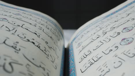 macro shot of quran pages