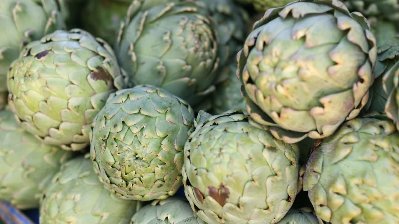 Freshly Harvested Artichokes