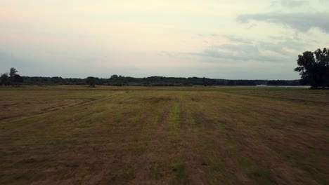 perfect aerial flight sloly fly forwards drone shot over farmland fallow summer morning
in nature reserve müritz seen mecklenburg brandenburg germany aerial view