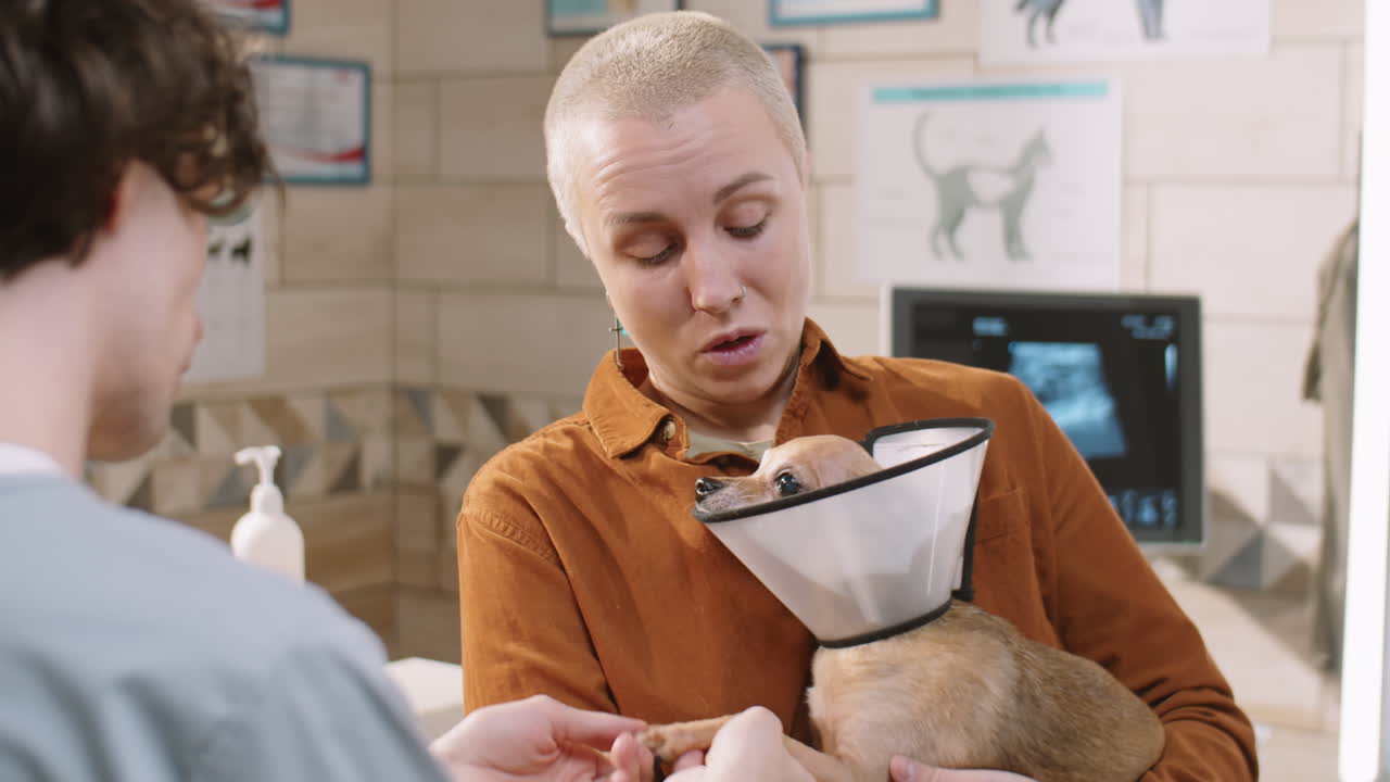 mujer con perro en collar electrónico hablando con el veterinario en la clínica