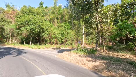 a peaceful road surrounded by lush greenery