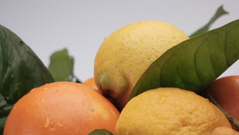 cítricos limón y naranja