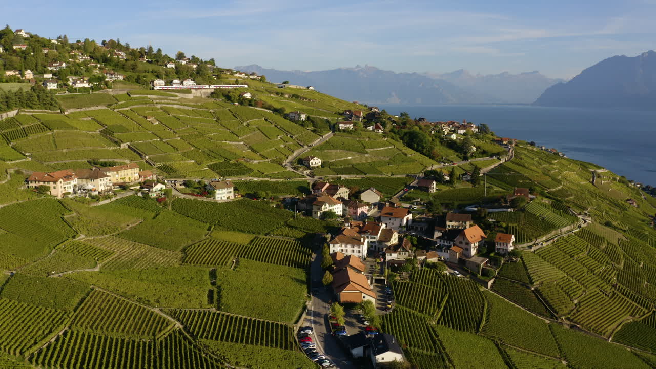 drone sobre un exuberante viñedo verde a orillas del lago de ginebra cerca del pueblo de aran en lavaux, suiza