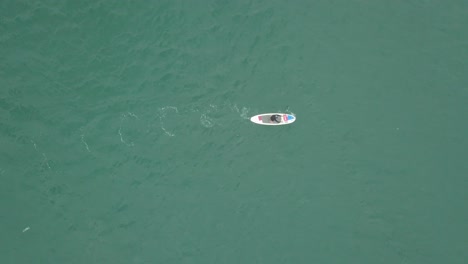 luftaufnahme mit paddleboarder, der auf seinem brett steht und voranschreitet