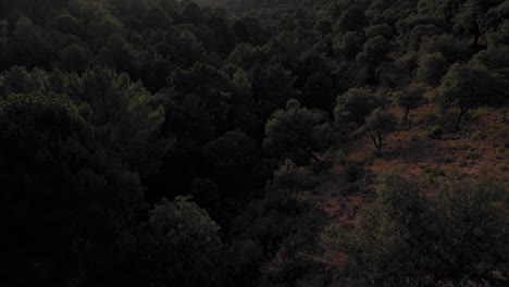 sierra de huetor natural park during sunset, granada, spain