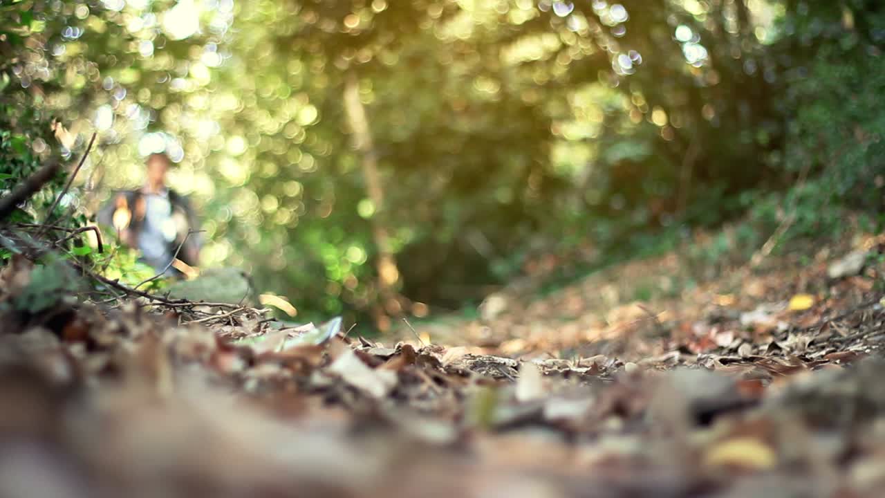 겁에 질려 숲으로 도망쳤어요