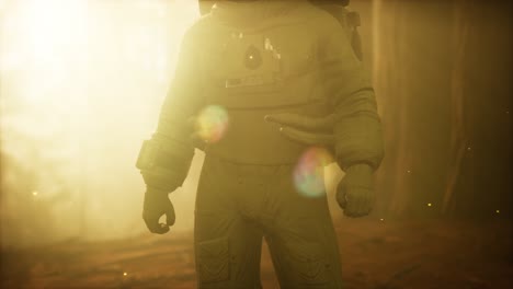 astronauta solitario en el bosque oscuro