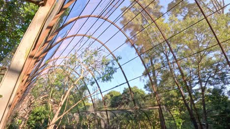 a birdcage with trees and netting