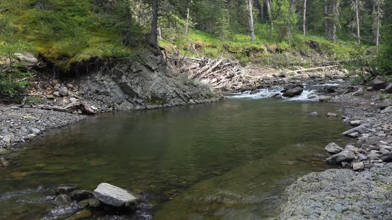 Sungai kecil gunung yang jernih mengalir ke kolam yang tenang di samping tepian berbatu dan kayu apung, dikelilingi oleh hutan hijau abadi. Air sebening kristal menampakkan dasar sungai di tengah suasana alam liar yang damai.