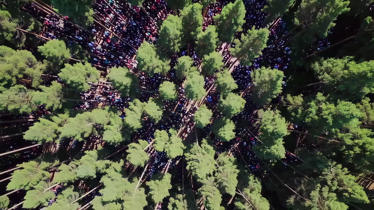 숲 속 의 큰 군중