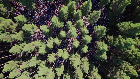 large crowd in a forest