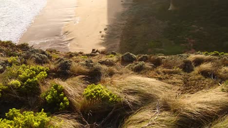 coastal landscape with cliffs and ocean waves