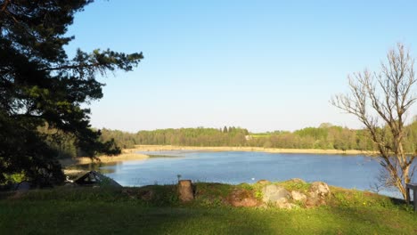 Green-grass-on-coastline-and-vast-lake-on-sunny-day,-dolly-forward