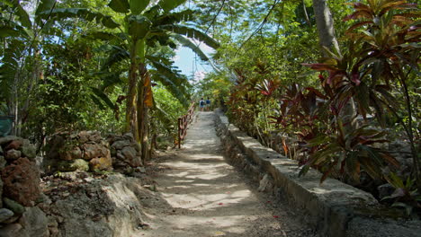 Slow-motion-of-pathway-inside-the-rain-forest-in-Cancùn,-Mexico