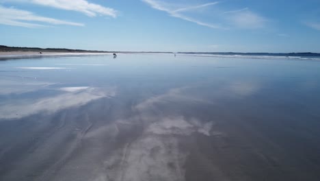 drone filming just above wet sand at kerhillio beach in brittany, clear blue sky