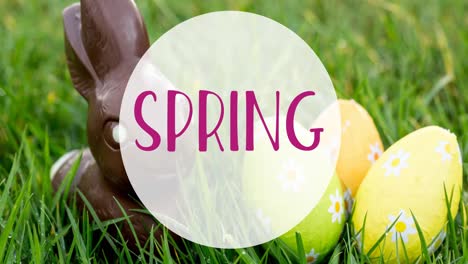 animación del texto de primavera sobre huevos de pascua y conejo de chocolate