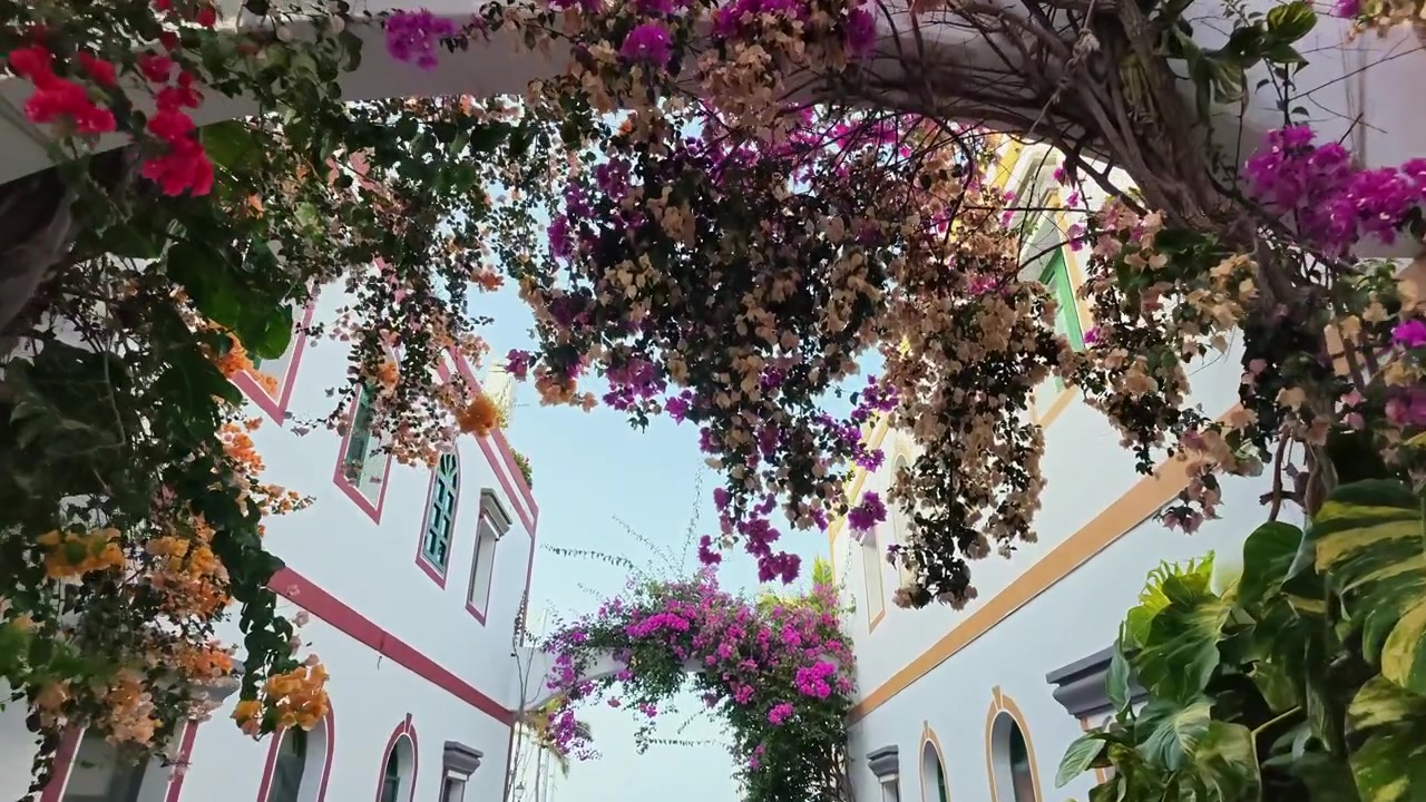 Mulher explorando uma rua pitoresca cheia de flores coloridas de buganvília ao nascer do sol em Puerto de Mogán, Gran Canaria, Espanha.