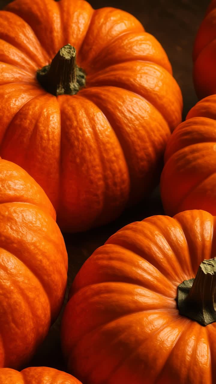 Close-up video angle of vibrant orange pumpkins, showcasing their textured surfaces and stems