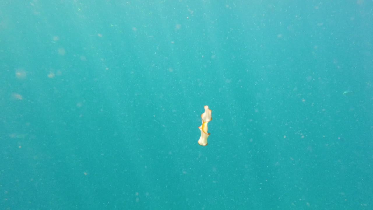 así es como es la libertad.